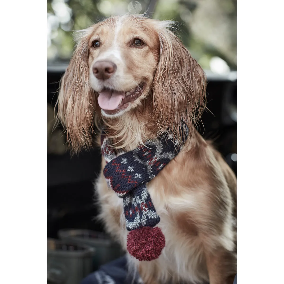 Barbour Dog Fairisle Scarf